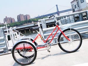 Cargo Bikes