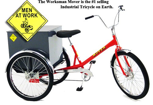 Adult Tricycle