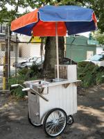 PartyCart2011.JPG