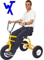 Adult Tricycle